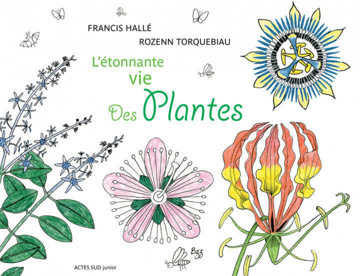 Könyv L'étonnante vie des plantes Torquebiau
