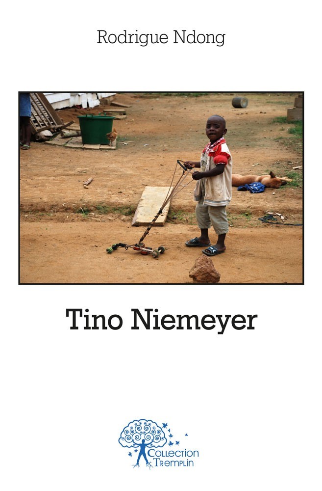 Knjiga Tino niemeyer Ndong