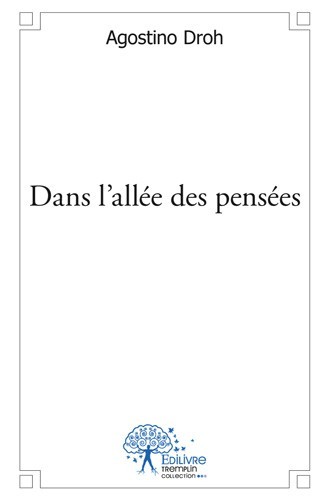 Kniha Dans l'allée des pensées AGOSTINO DROH