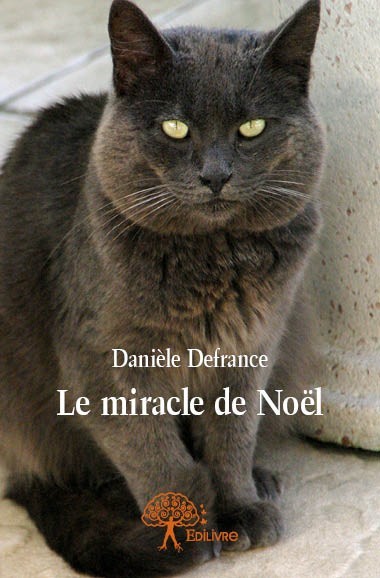 Kniha Le miracle de noël Defrance