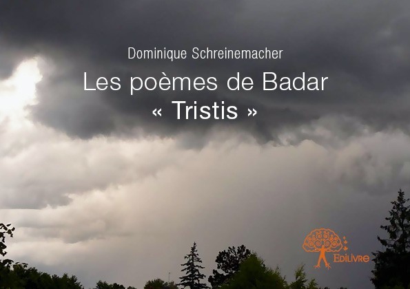 Könyv Les poèmes de badar « tristis » Schreinemacher