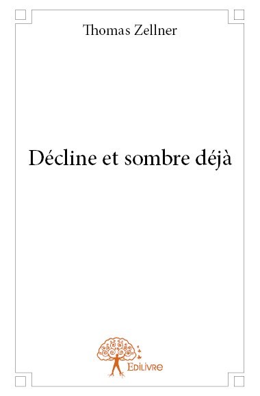 Buch Décline et sombre déjà Zellner