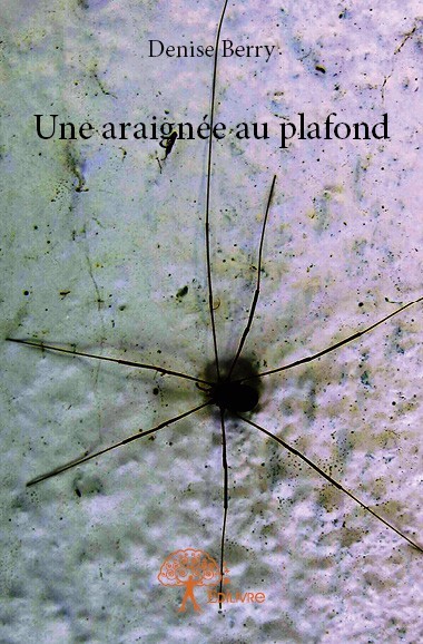 Knjiga Une araignée au plafond Berry