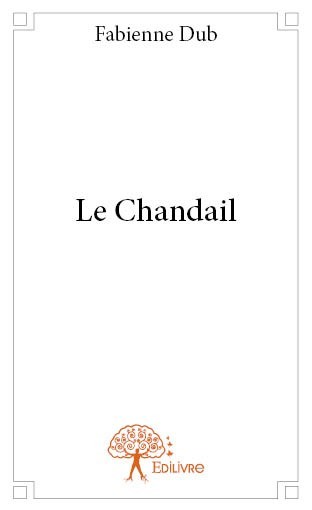 Kniha Le chandail Dub