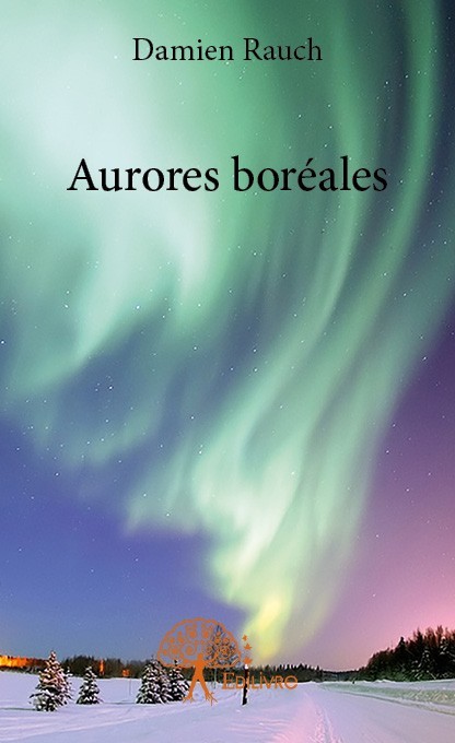Boek Aurores boréales Rauch