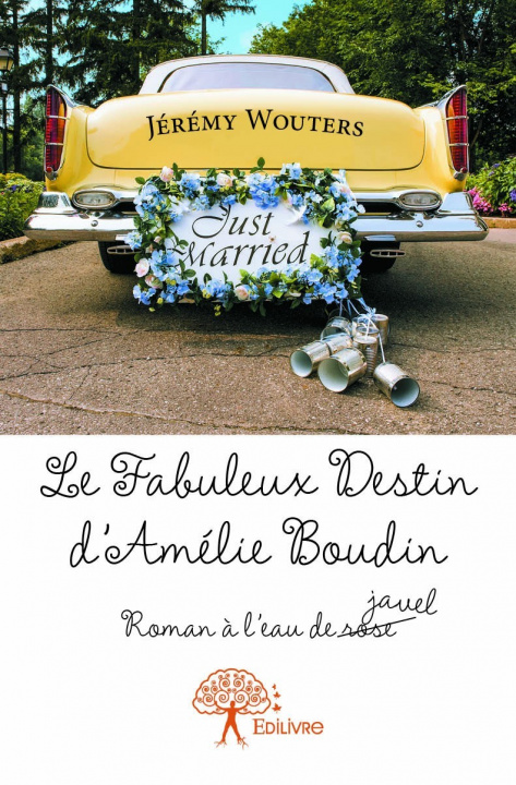 Knjiga Le fabuleux destin d'amélie boudin Wouters