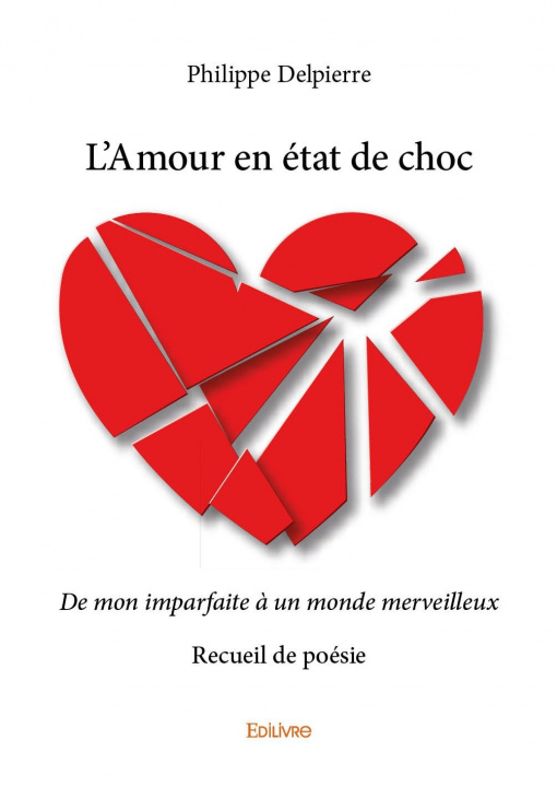 Kniha L'amour en état de choc Delpierre