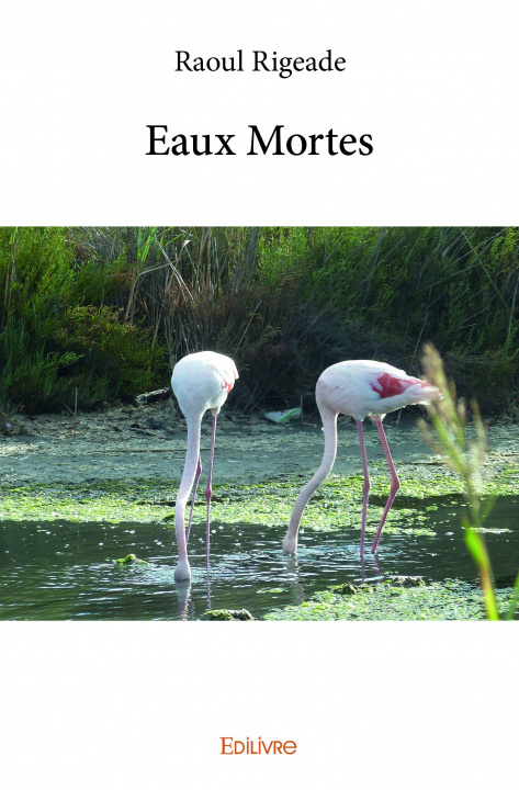 Книга Eaux mortes Rigeade