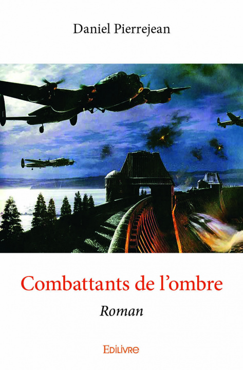Kniha Combattants de l'ombre Pierrejean