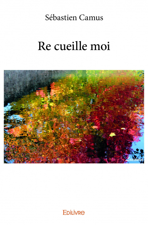 Книга Re cueille moi SEBASTIEN CAMUS