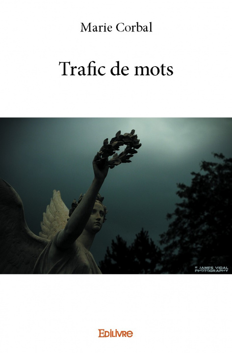Book Trafic de mots MARIE CORBAL