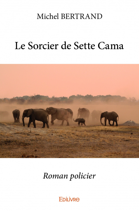 Livro Le sorcier de sette cama MICHEL BERTRAND
