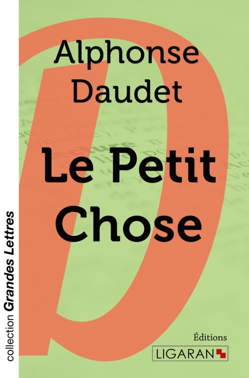 Kniha Le Petit Chose (grands caractères) Daudet