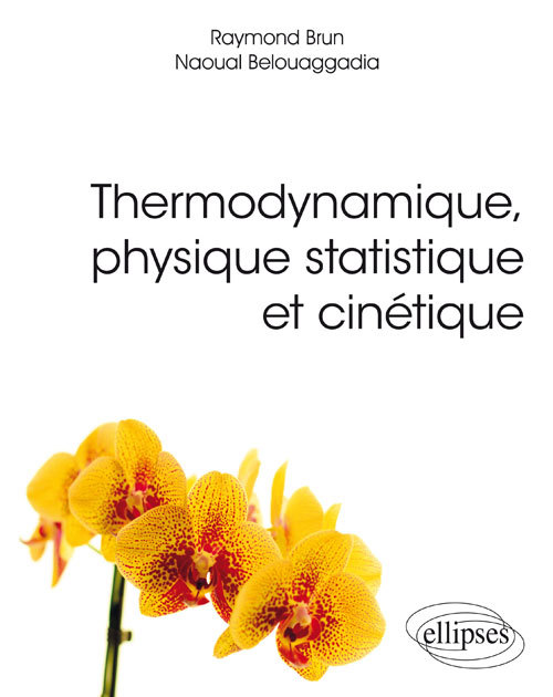 Kniha Thermodynamique, physique statistique et cinétique Brun