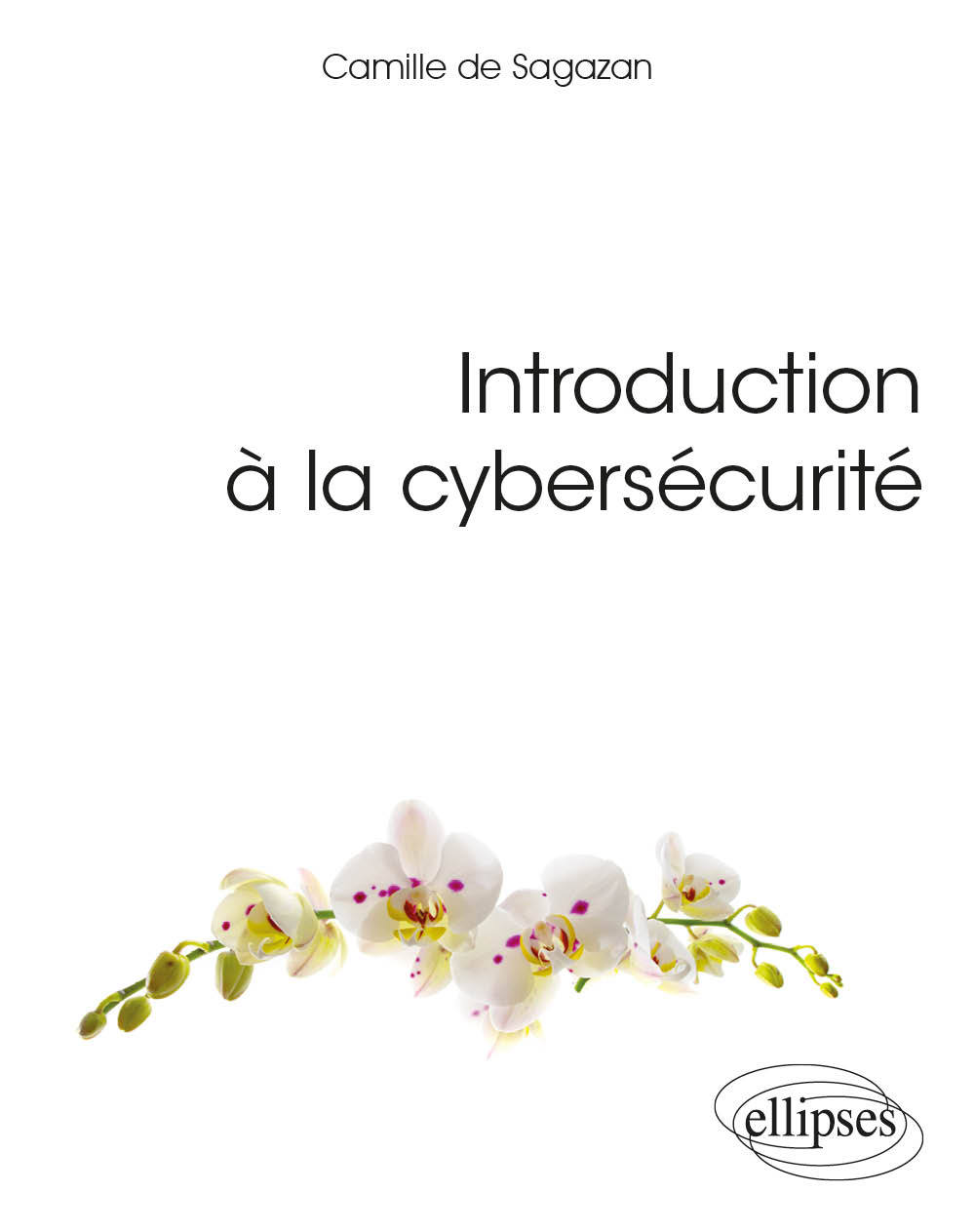 Book Introduction à la cybersécurité de Sagazan