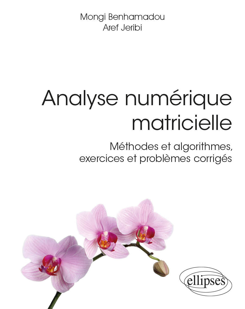 Könyv Analyse numérique matricielle - Méthodes et algorithmes, exercices et problèmes corrigés Benhamadou