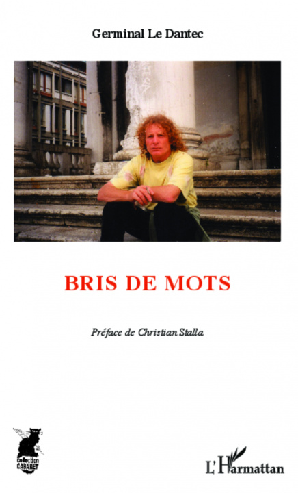 Buch Bris de mots LE DANTEC