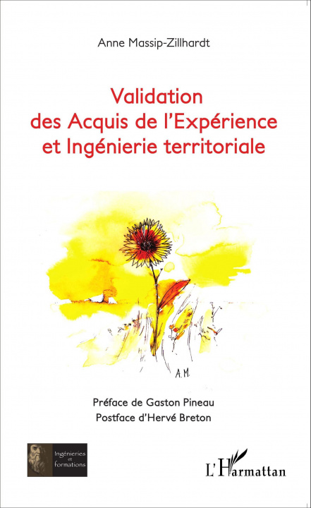 Könyv Validation des Acquis de l'Expérience et Ingénierie territoriale Massip-Zillhardt