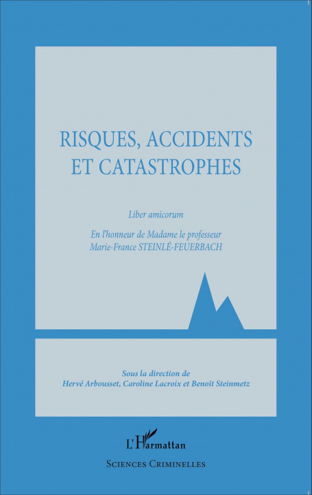 Buch Risques, accidents et catastrophes Steinle feurbach marie france