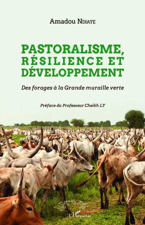 Knjiga Pastoralisme, résilience et développement Ndiaye