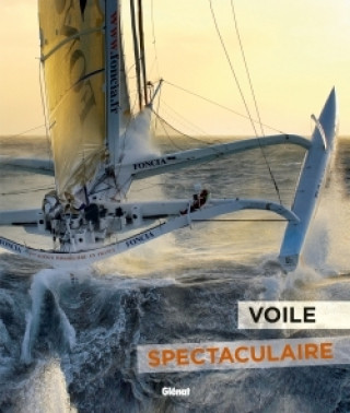 Kniha Voile spectaculaire Fabrice Amedeo