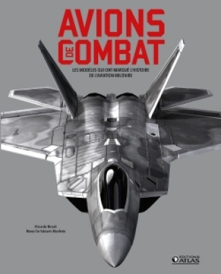 Kniha Avions de combat Riccardo Niccoli