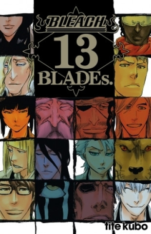 Book Bleach Data book - 13th Blades Tite Kubo