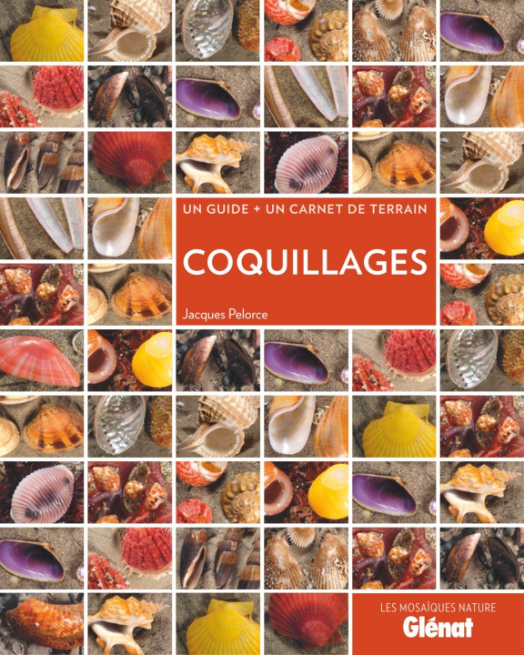 Kniha Coquillages Jacques Pelorce