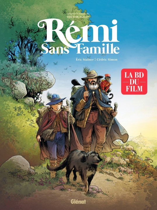 Knjiga Rémi Sans Famille 