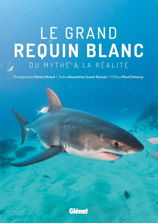 Kniha Le grand requin blanc Alexandrine Civard-Racinais