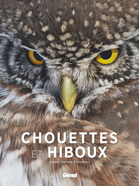 Kniha Chouettes et hiboux Guilhem Lesaffre