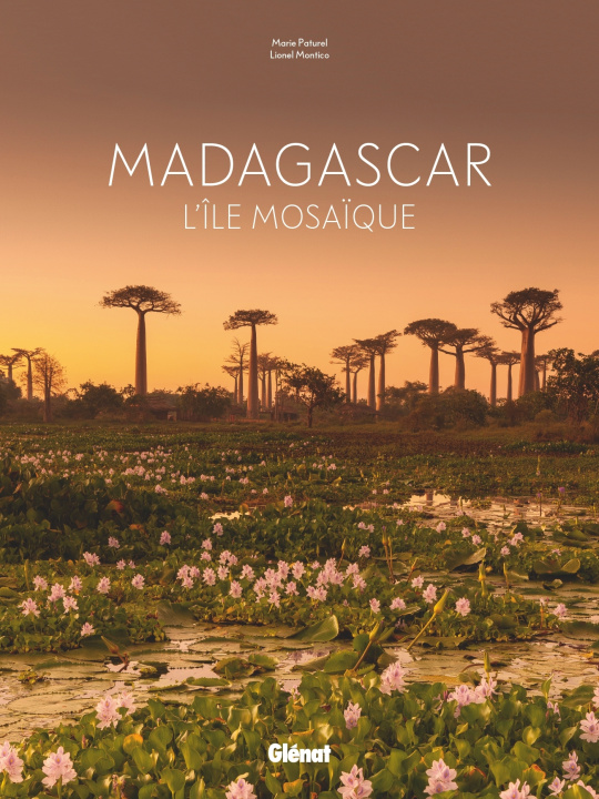 Carte Madagascar Marie-Hélène Paturel