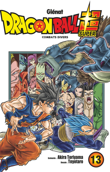 Kniha Dragon Ball Super - Tome 13 