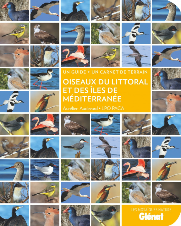 Kniha Oiseaux du littoral et des îles de Méditerranée Aurélien Audevard