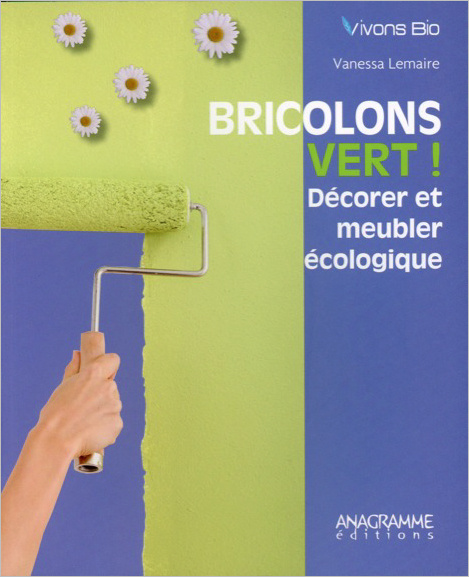 Kniha Bricolons vert ! Décorer et meubler écologique Lemaire