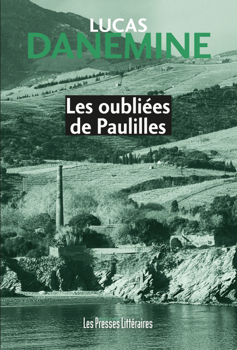 Könyv LES OUBLIEES DE PAULILLES DANEMINE
