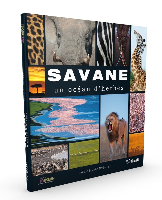 Knjiga SAVANE DENIS-HUOT