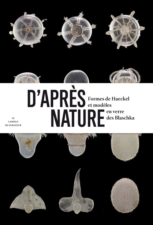 Knjiga D'après nature 