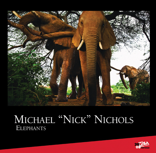 Book ELEPHANTS "Nick" Nicho
