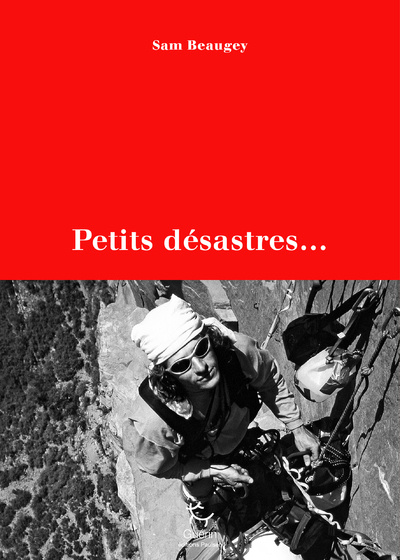 Knjiga Petits désastres Sam Beaugey
