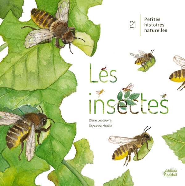 Knjiga Les insectes ! CLAIRE LECOEUVRE