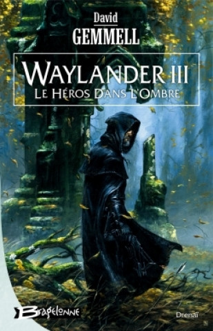Könyv Waylander III - Le Héros dans l'ombre David Gemmell