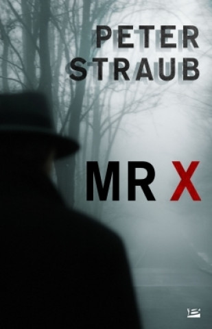 Kniha Mr X Peter Straub