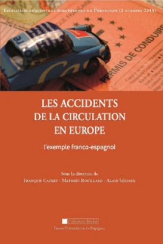 Kniha LES ACCIDENTS DE LA CIRCULATION EN EUROPE. L'EXEMPLE FRANCO-ESPAGNOL ROUILLARD M./CAULET F.