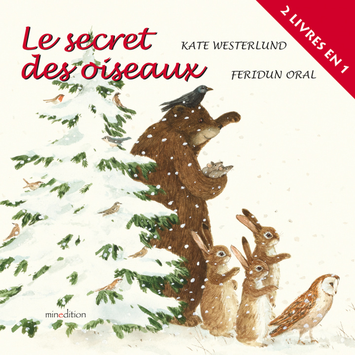 Kniha Le secret des oiseaux Oral