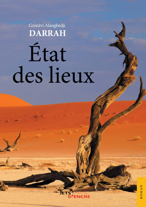 Knjiga État des lieux Gninêvi Afangbédji Darrah