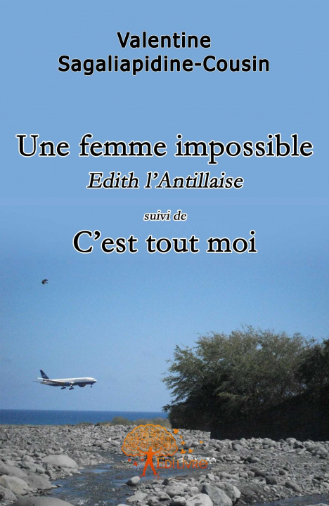 Book Une femme impossible Cousin