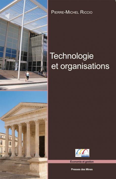 Kniha Technologies et organisations Riccio