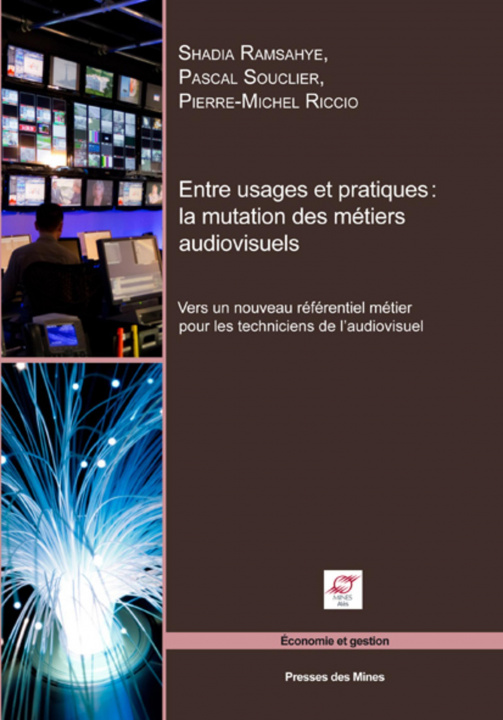 Kniha Entre usages et pratiques : la mutation des métiers audiovisuels Ramsahye