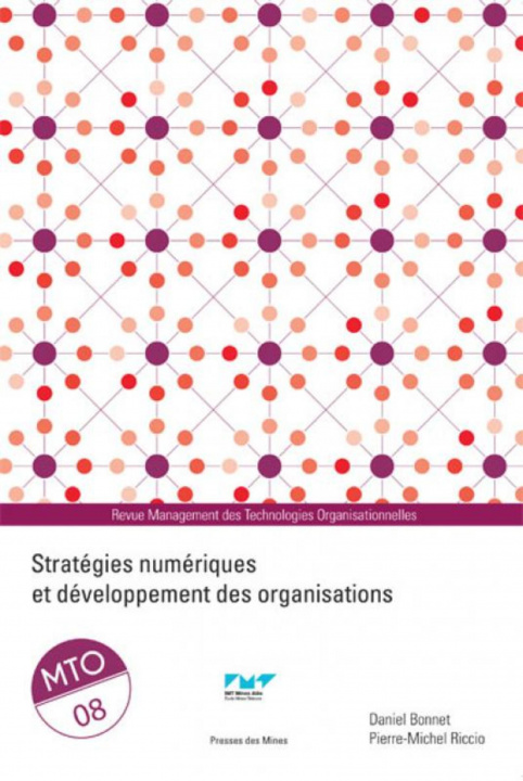 Kniha Stratégies numériques et développement des organisations Riccio